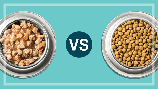 comparison between dry and wet cat food