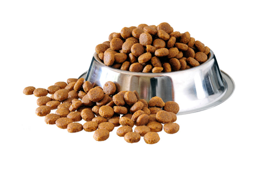 best dry food