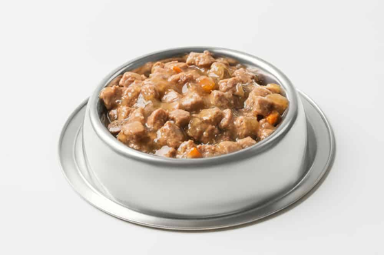 wet food