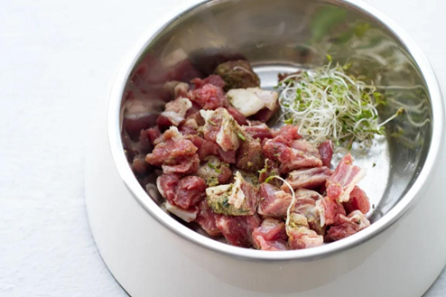 fresh raw food