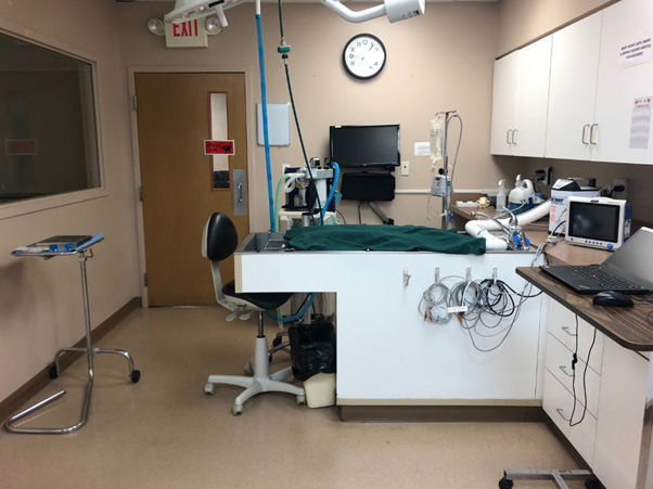 settings in clinic