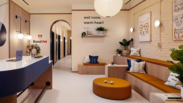 animal clinic welcoming atmosphere