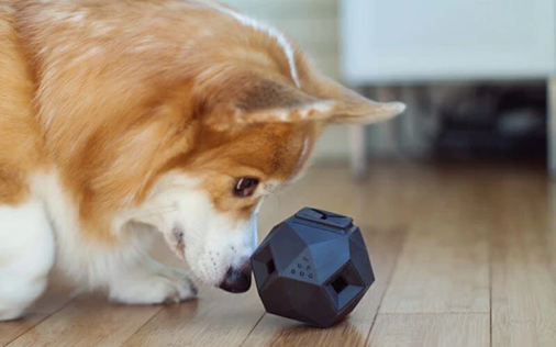 treat dispenser